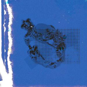 国产精品无码在线
