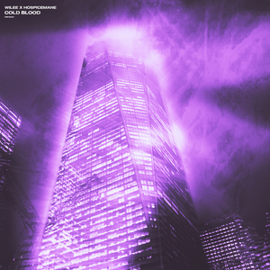 国产精品无码在线
