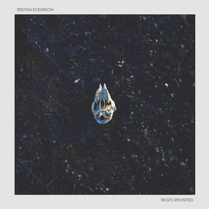 国产精品无码在线
