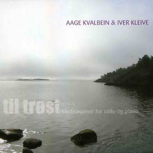 国产精品无码在线
